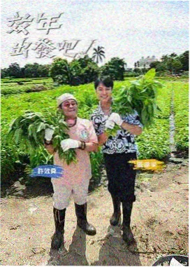 乐队的夏天 音乐综艺免费在线看